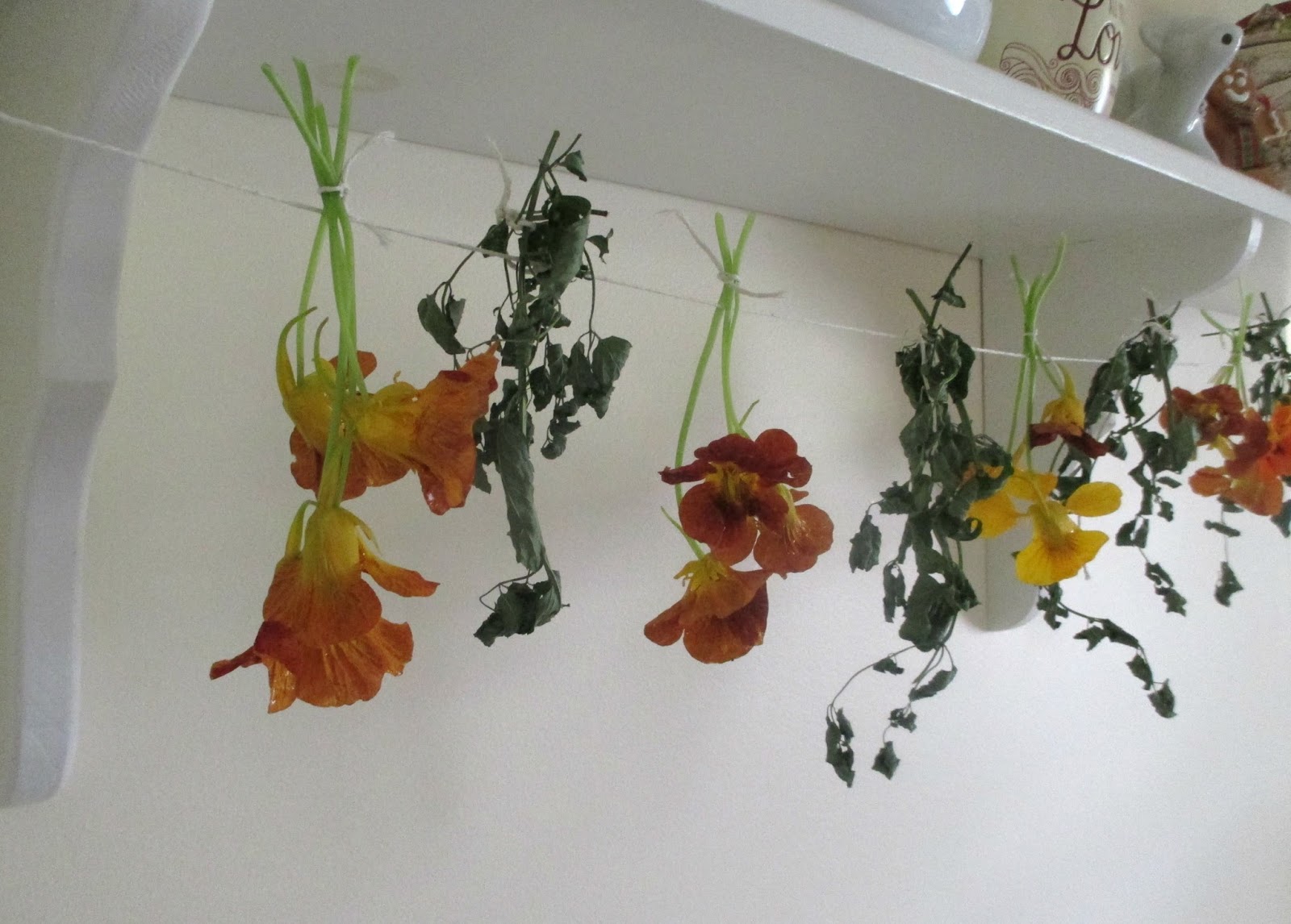 Just my Stuff Dried Nasturtium and Nasturtium Capers