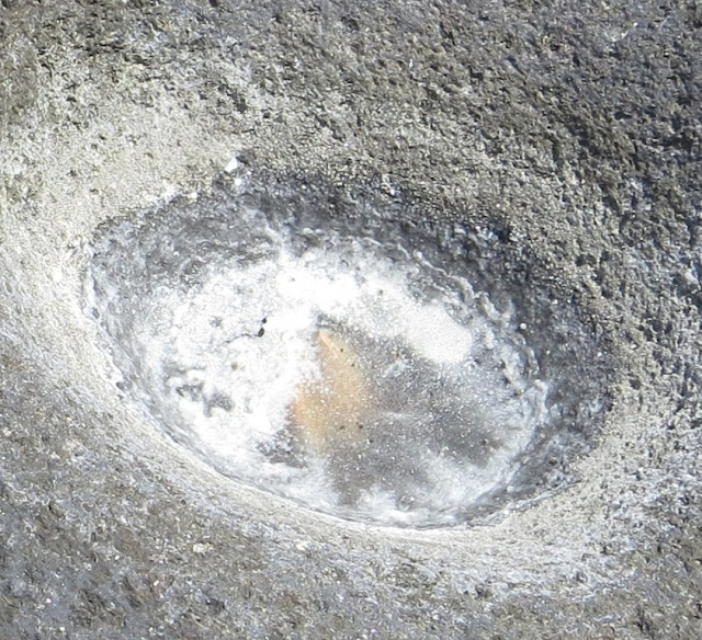 Ampliação de Fotografia macro de Cova com Sal formada Naturalmente na Pedra da Calheta dos Biscoitos, Piscina natural