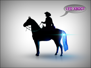 LED подсветка для лошадей