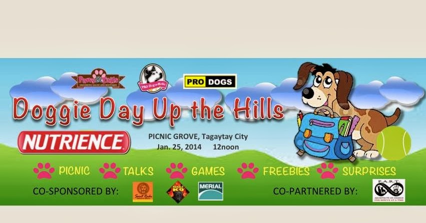 flying with your tips safe travel pets flying with your tips safe travel pets