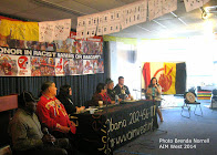 American Indian Movement: Sacred lands, mascots, US sterilization