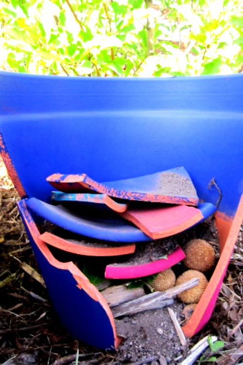We started layering sand, dried seed pods, leaves with the terracotta We started layering sand, dried seed pods, leaves with the terracotta