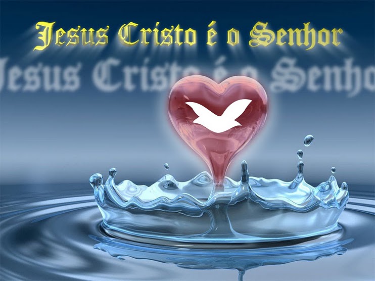 Simples Servo 08 passos para uma evangelização eficaz