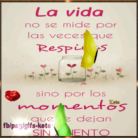 Resultado de imagen para gifs kete con frases