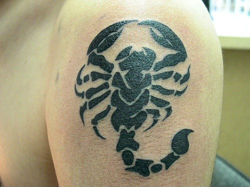 Most Wanted Scorpion Tattoo Design