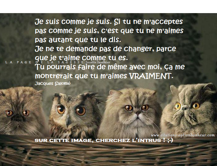 La Page de la Sagesse Citation de Jacques Salomé je