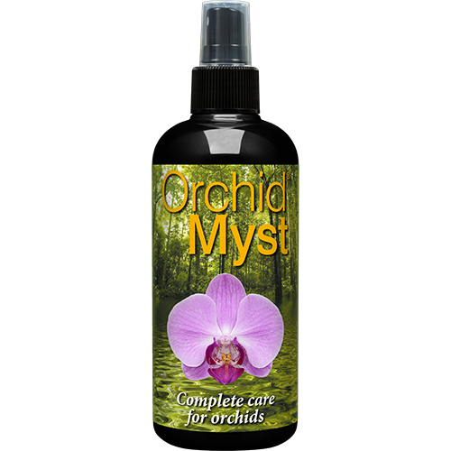 Orchid Myst