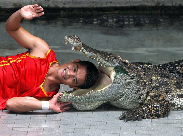 UNBELIEVABLE PICTURES