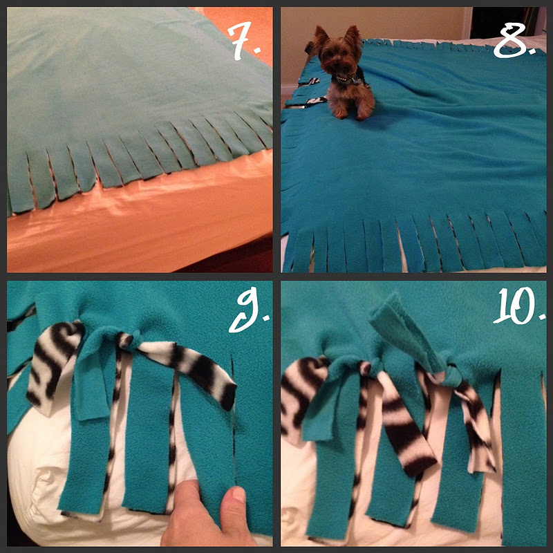 Real Life, Real Estate, Real Dana "How To" Tie Blanket & Mr. Jingles