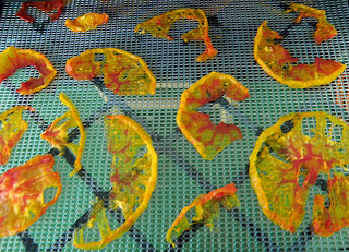 Yellow Heirlooms being dried