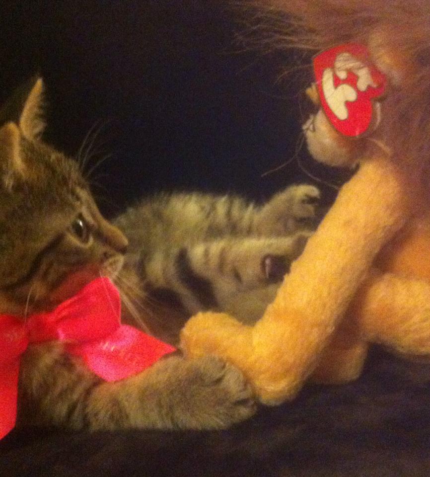S Dog Stuffed Animal That Talked S Dog Stuffed Animal That Talked