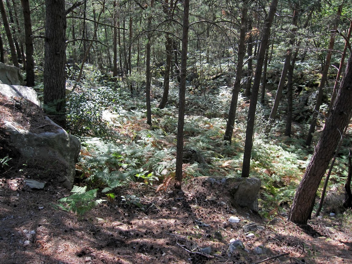 série series les rencontres de fontainebleau