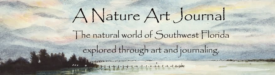 A Nature Art Journal in Southwest Florida