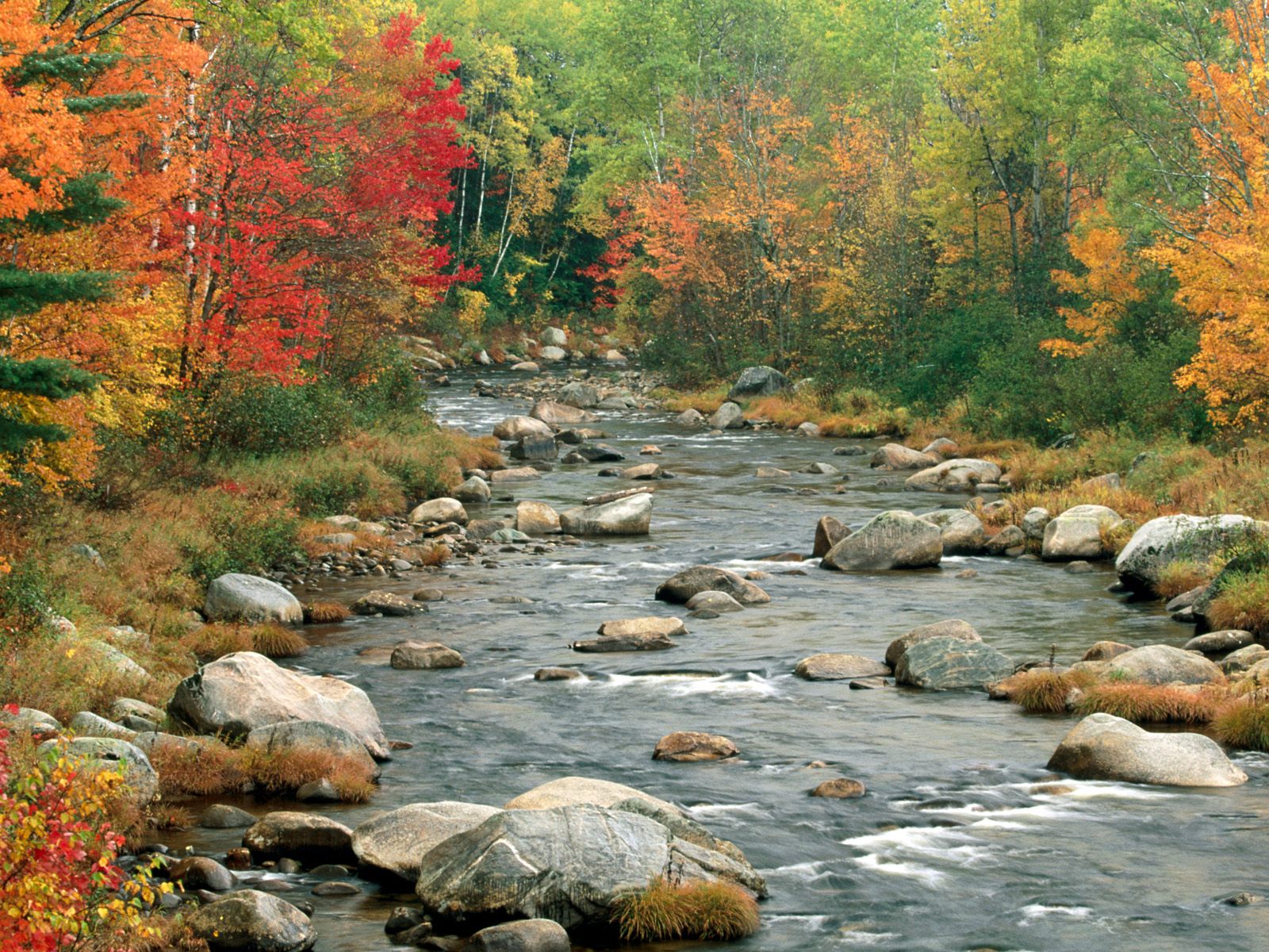 http://4.bp.blogspot.com/-cxU1Q5EsjYk/TXj5VhHfO8I/AAAAAAAAGZc/uvwWmuHKUPg/s1600/fuji-mountain-wallpapers_4942_1600x1200%2BMountain%2Bclimbing%2Bwallpaper%2Bpictures%2B3D%2BAnime%2BAnimals%2BCars%2BCelebrities%2BBeaches%2BSunset%2BNature%2BScenery%2BSpace%2BFlowers%2BBabies%2BMountain%2BAnd%2BLake%2BWallpaper%252C%2BFree%2BMountain3.jpg