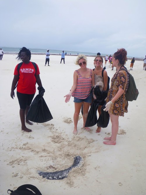 Antipodeans Stories How did 72 toothbrushes land on the beach?