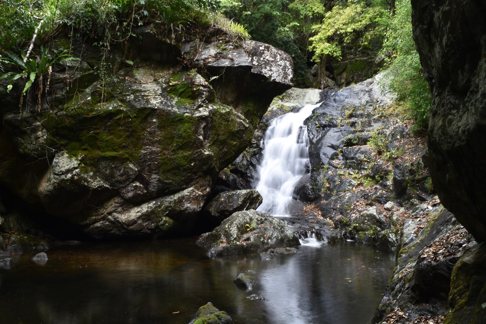 To Catch Sight Of. Stoney Creek