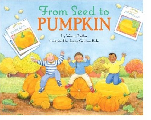 How does a pumpkin grow?