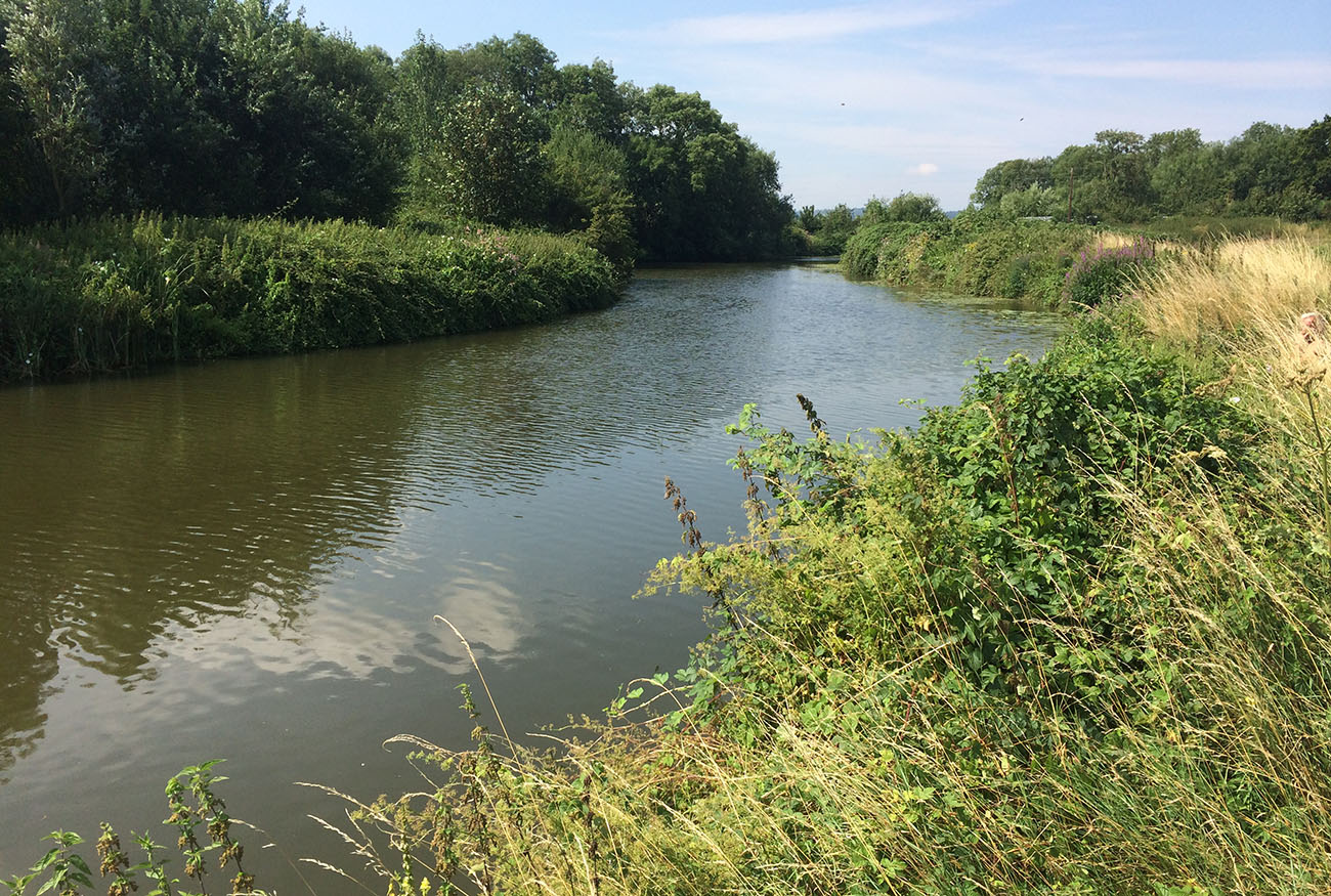The River Medway downriver from Hartlake Bridge, 25 July 2014. The River Medway downriver from Hartlake Bridge, 25 July 2014.