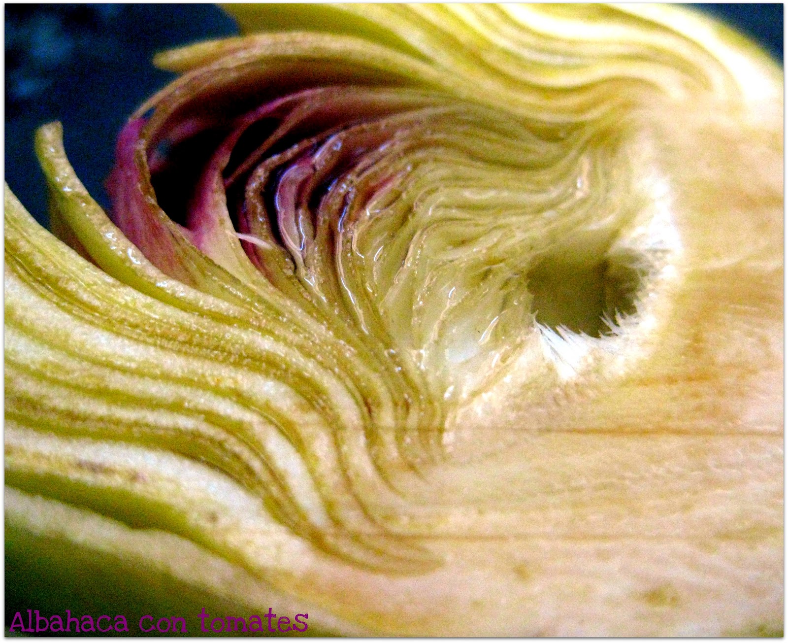 Se a curcuma de lugares de pigmentary ajuda