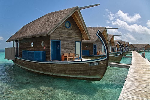 houseboat facts about all chart room hulls cove