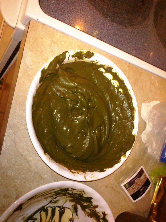 Gina Taro , Salon Allergy Specialist Allergic to PPD? Try henna.