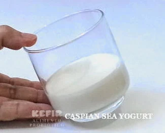 Copo contendo Iogurte Cáspio, a característica dele é a viscosidade e a cremosidade sem igual, é delicioso!