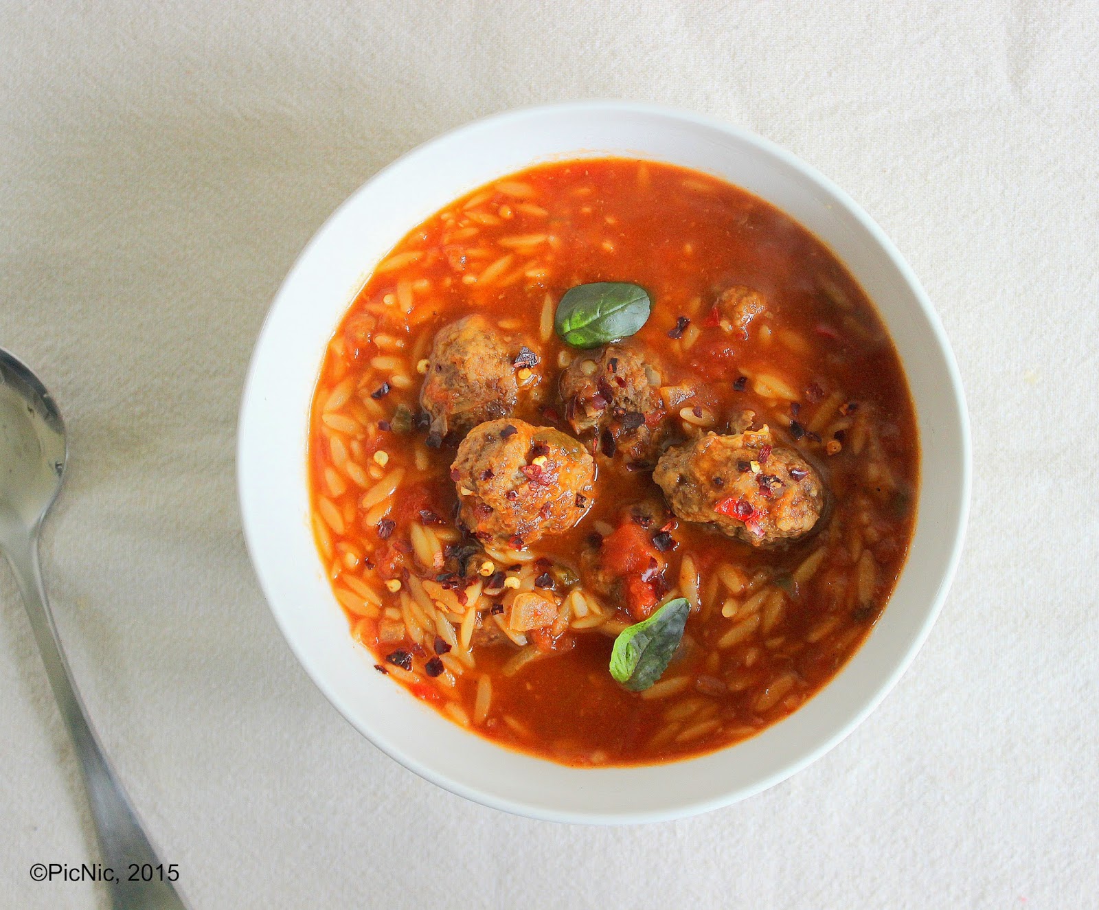 PicNic Spiced Beef Risoni Soup