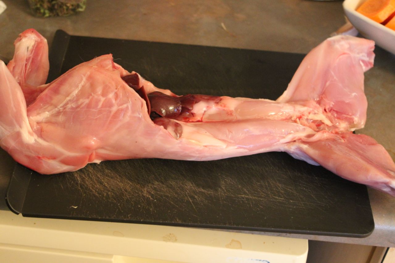 Raw Rabbit