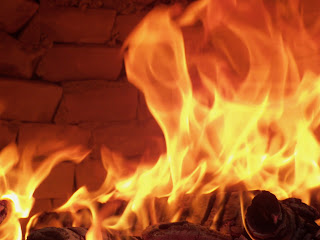 Coscio Di Capriolo Al Forno A Legna Cotto E Postato