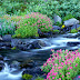RIVER HD WALLPAPERS