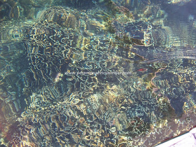 INDAHNYA SUNSET, SUNRISE, DAN LUMBA-LUMBA DI PANTAI LOVINA-BALI INDAHNYA SUNSET, SUNRISE, DAN LUMBA-LUMBA DI PANTAI LOVINA-BALI