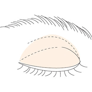 眼影