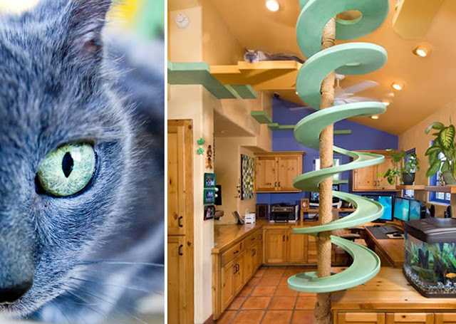 Una Espectacular Casa Para Tus Gatos Con 2 Pisos Casita Para Gatos Casas Para Perros Casetas Para Perros