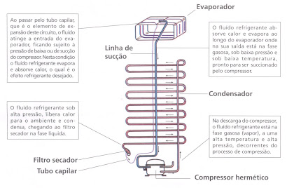 Geladeira-as bactérias e fungos não se proliferam