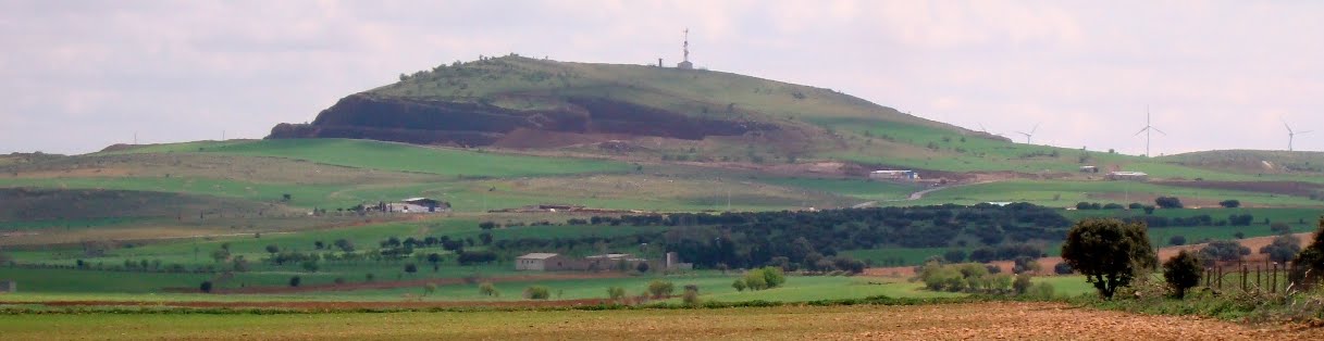 CIENCIAS EN EL CALVÍN