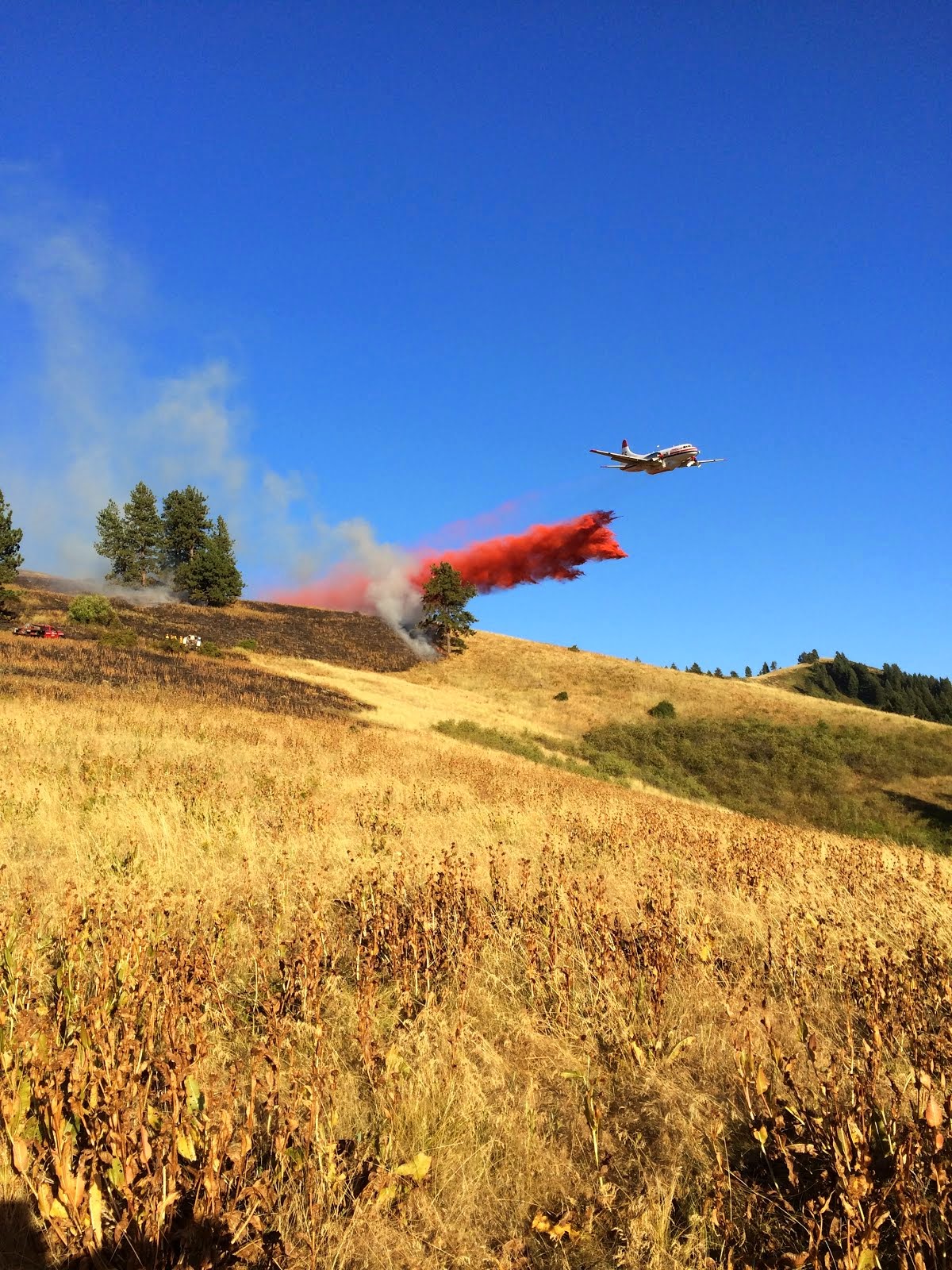 Stumbough Ridge Fire