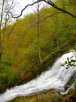 Nine Boys Nine Girls Crabtree Falls Watch Your Step