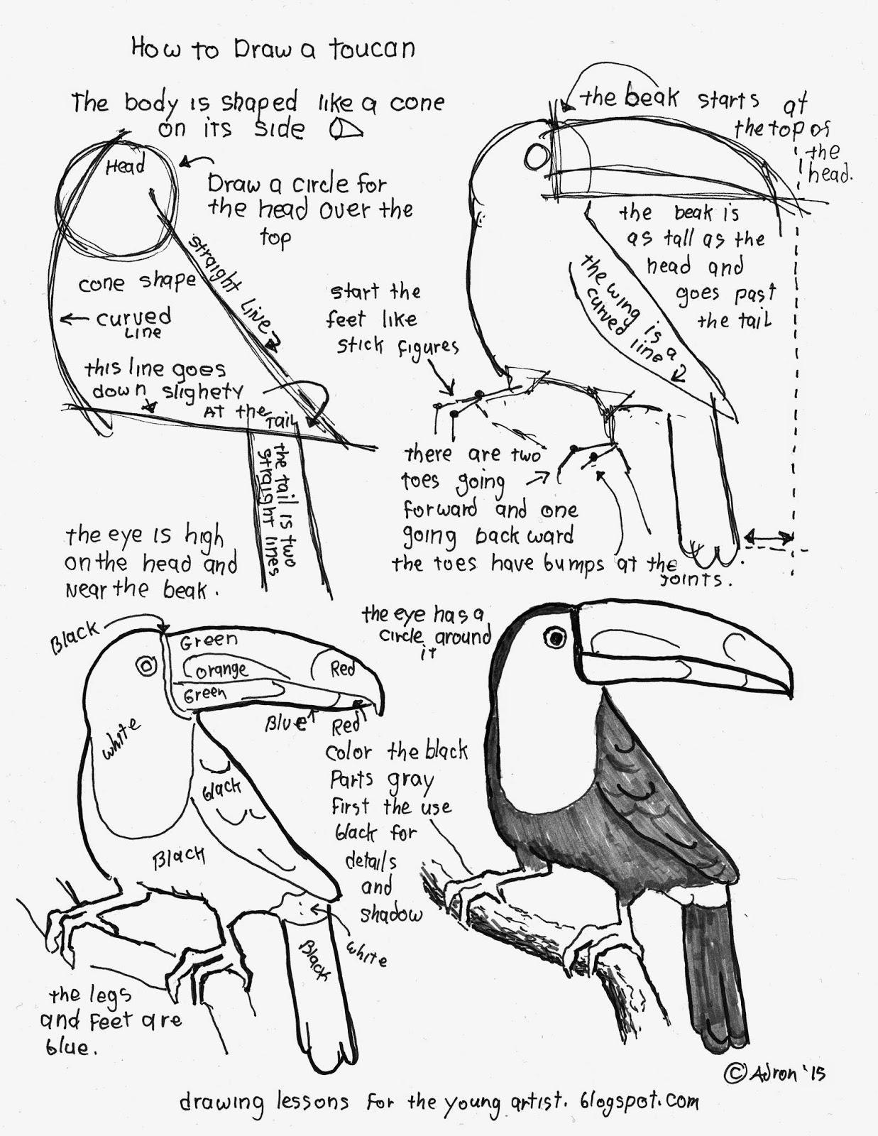 Best How To Draw A Toucan in the world Don t miss out 