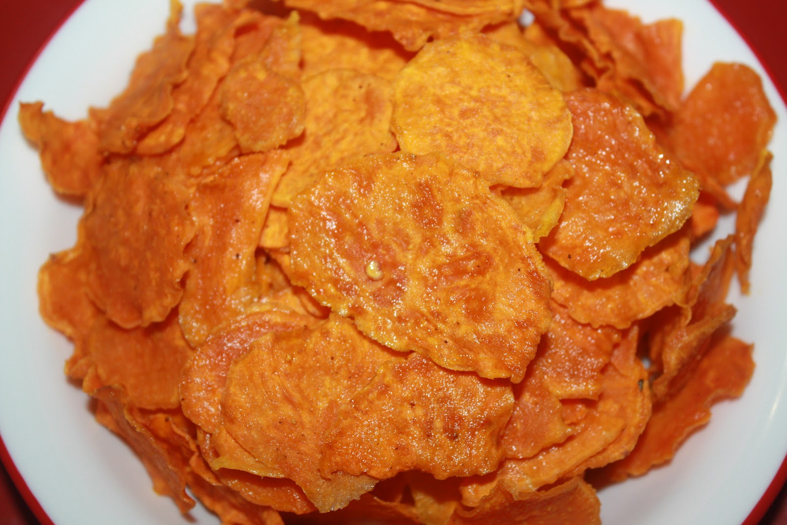 Recipes and Tips To Fight M.S. Dehydrated Zucchini Crackers