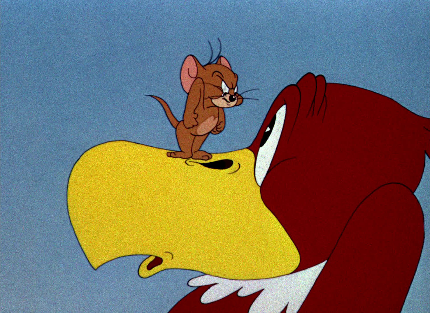 tom and jerry flirty birdy cartoon 2012 okt 16 a(z) tom és jerry - turbékoló madárka című videót tribe bubu nevű felhasználó töltötte fel a(z) film/animáció kategóriába eddig 744 alkalommal nézték meg. tom and jerry flirty birdy cartoon 2012 okt 16 a(z) tom és jerry - turbékoló madárka című videót tribe bubu nevű felhasználó töltötte fel a(z) film/animáció kategóriába eddig 744 alkalommal nézték meg.