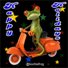 dp bbm frog-kodok-happy-holidays