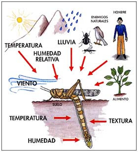 DEFINE CIENCIA GEOGRAFICA define ciencia geografica: