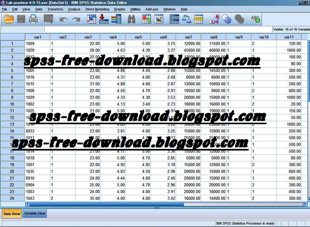 Free Download Software Spss 18 Full Version