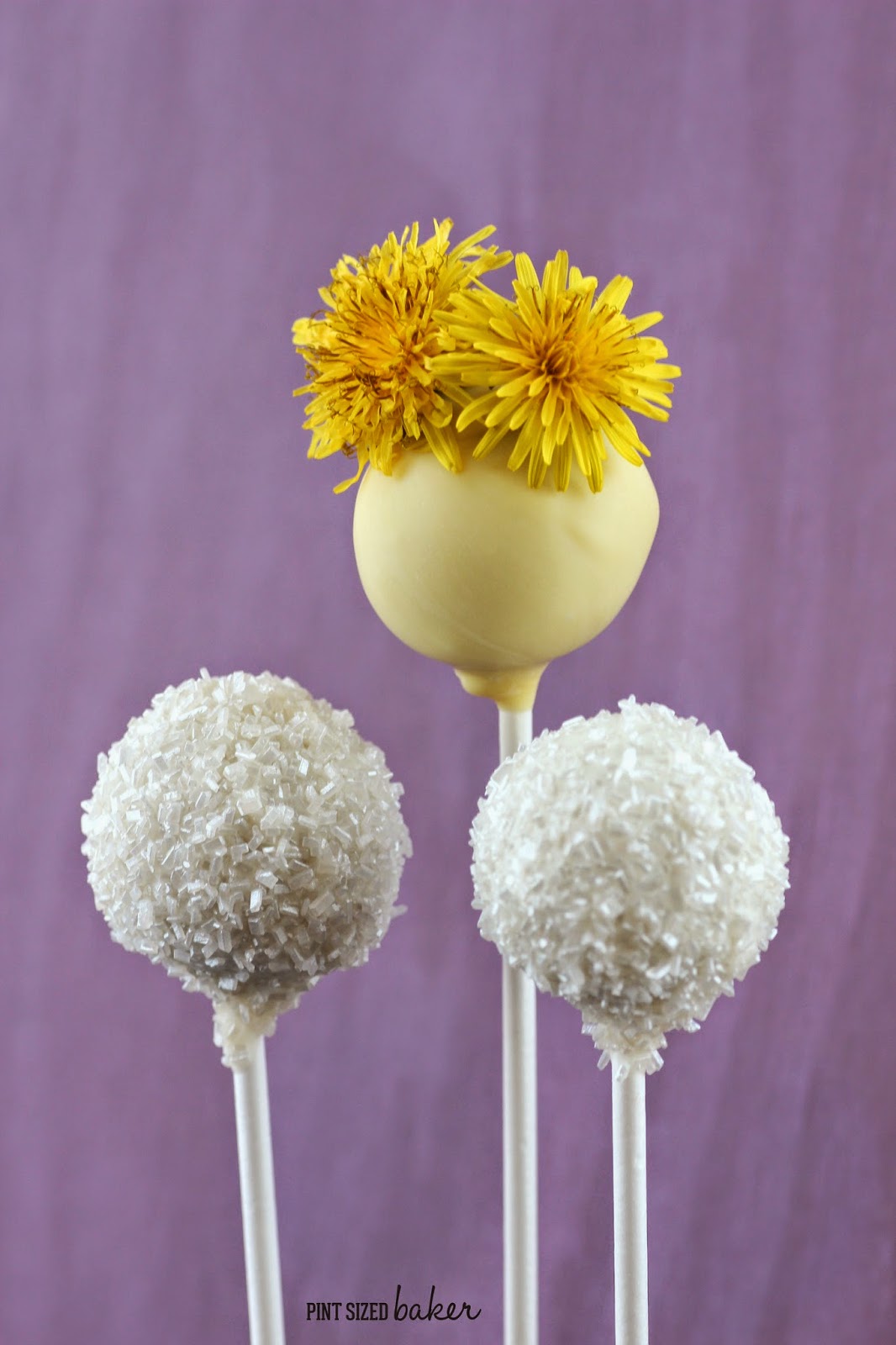 Dandelion Cake Pops 5 1+ps+Dandelion+Cake+Pops+(52)