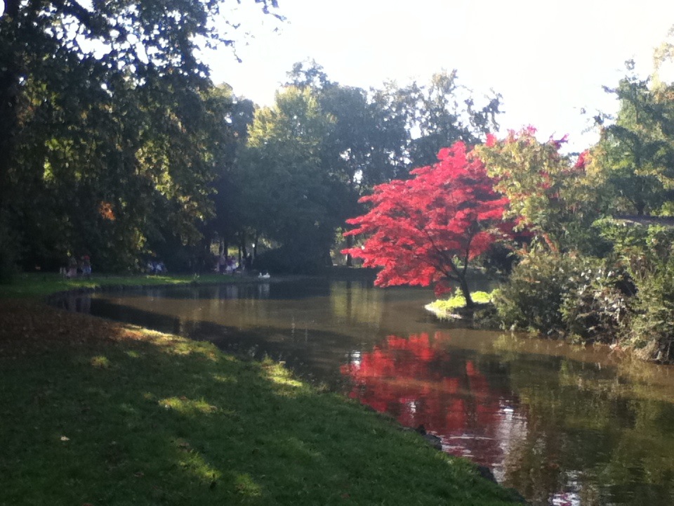 The "English Garden", where the swans and ducks live. Munich, Germany Fall 2011