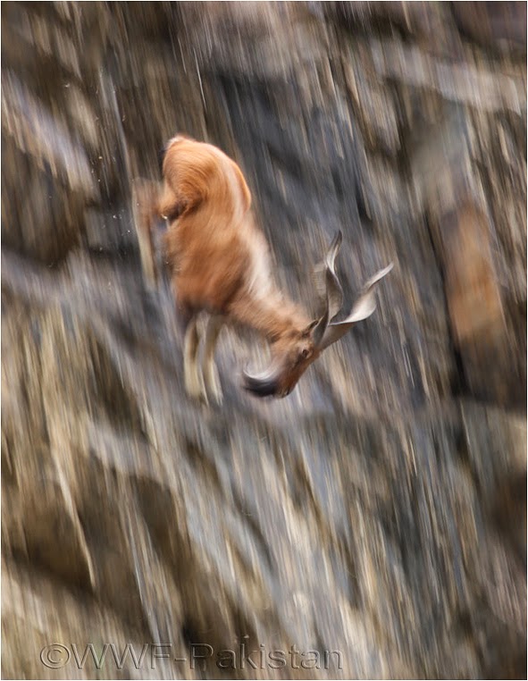 emerging photographers, Best Photo of the Day in Emphoka by Zahoor Ahmed, https://flic.kr/p/pUqDmZ emerging photographers, Best Photo of the Day in Emphoka by Zahoor Ahmed, https://flic.kr/p/pUqDmZ