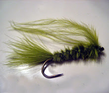 Olive Mullet Leech