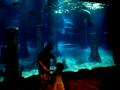 Mermaid, River Safari, Singapore