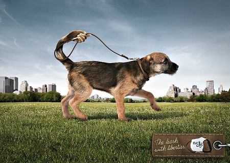 Curli amusing and humorous print ads