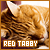 I like red Tabby cats